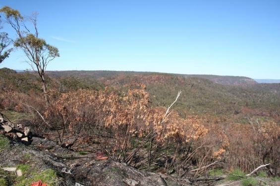 Assist us with research into the October 2013 NSW bushfires