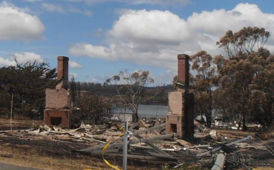 Australia’s leading bushfire researchers will investigate the Tasmanina fires