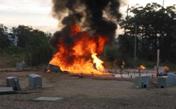 Tanks on trial for home defence