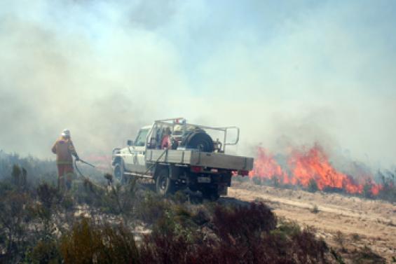 Smoke emissions from a bushfire