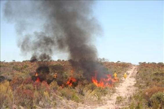 Fire in low scrubland